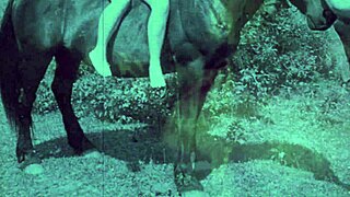 复古禁忌小穴弯腰，想看这个毛茸茸蜜穴狗爬式动作？