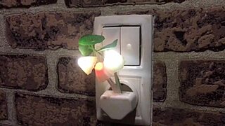 internetspb seeks gay online encounters with big cocks