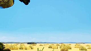 Bengaru Tora In Kemono Friends Anime Adventure