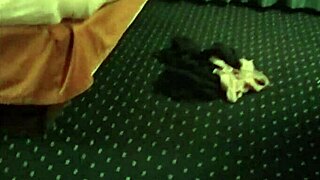 Krystal Rose Fucks And Sucks Black And White Cock