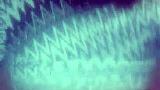 Sexy amateurs give outdoor public blowjobs in 2020 compilation