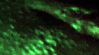 My Tuesday Jumpoff With This Ebony Babe's Wet Pussy And Big Ass