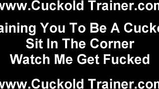 It's A Shame You Can't Get Hard Enough Anymore, Old Cuckold