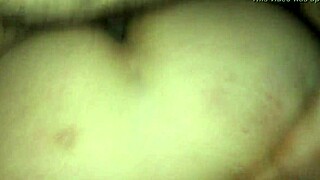 la chaque amateur story unfolds