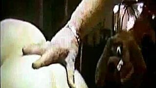 how i trained my dizzy blond daughter