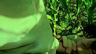 helping a friend in the cornfield
