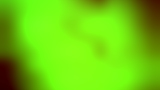 Verification video for gay profile