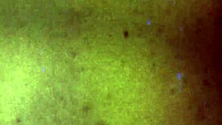 russian tgirl alice in stockings masturbates solo