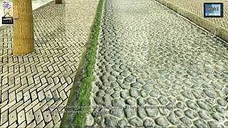 Sunshine Love 24 is an exciting hentai anime game