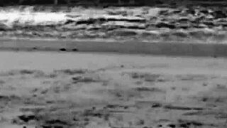 My Wife Shows Off On Brazilian Beaches!