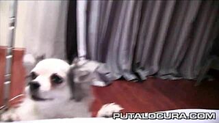 rellenando el coño de la gordita violeta con mi polla?