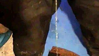 bomber teil2 outdoor public adventure