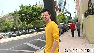 Dilettante explores homo sex themes