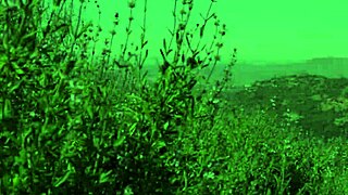 webyoung 18+ - kota sky chloe amour lick each other's pussies