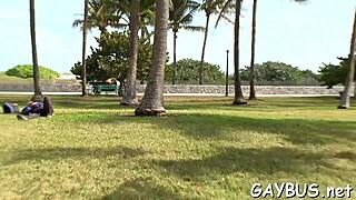 steamy gay bear scenes that tease and entice