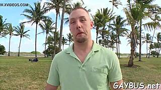 steamy gay bear scenes that tease and entice