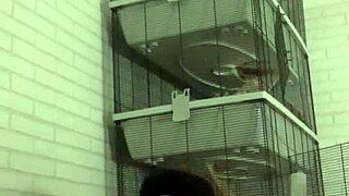 Horny piss play on my sofa