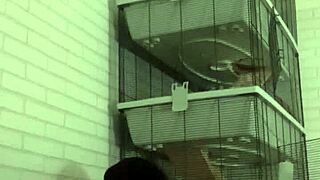 Horny piss play on my sofa