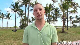 steamy gay bear scenes that tease and entice