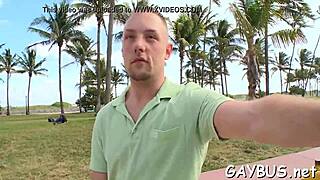 steamy gay bear scenes that tease and entice