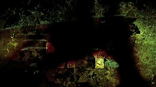 Vintage Erotic Illustration Brings Retro Heat, Oh My!