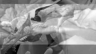 sad girl harem simulator uncensored orgasm video essay!