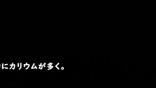 August gap trial version with machine translated subtitles!