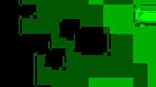 girls gym workout session