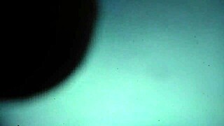 Bitch's big pussy exposed!