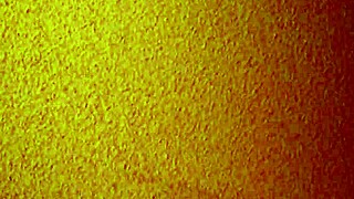 Asian hooker mature cheap in homemade brothel missionary with feet licking