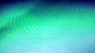 Bitch's big pussy exposed!