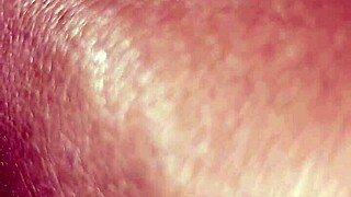 Los Peluches De Esposa