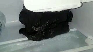 Je prepare mon penis au glaçon pour me faire defoncer la chatte. Black pussy gets pounded in web chat.