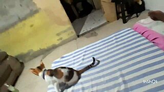 Latina teen slut kissed and fucked by young guy