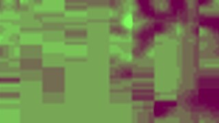 amateur video captures everyday moments