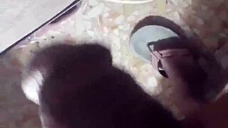 amina is a big whore