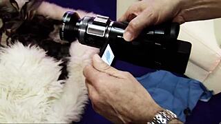 foursome with brooke haven and austin kincald involves anal and blowjob