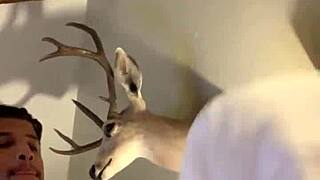 rough missionary fuck in hotel with ebony