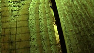 Lesbian slave orgasms watching naked madame!