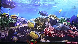 Watch Sexy Tranny Marcelle Herrera Ride That Rubber Cock!