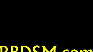 i witnessed this crazy orgy in a sex shop with babesalicious babes.