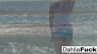 hot dahlia sky solo fun compilation