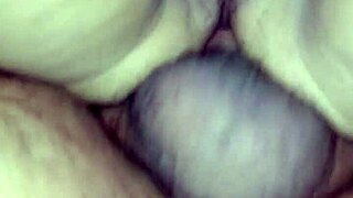 Feisty Kitten Taken In Anal Hole Asylum?