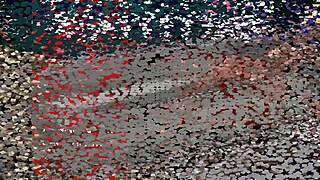 jazzy snafu in boob patrol game promo