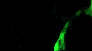 Cheating Wife Sucks Huge Cock Deepthroat In The Dark