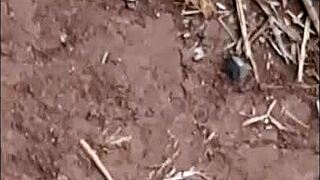 Does this cute Brazilian brunette dance funk before hardcore assfucking?