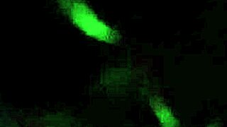 Cheating Wife Sucks Huge Cock Deepthroat In The Dark