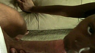 Find That Big Cock Toy!