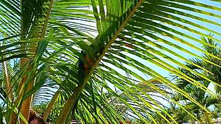 Hey, I'm a Venezuelan slut who loves outdoor exhibitionism at summer camp in Medellín, fucking in front of my cuckold husband—want to record videos together?