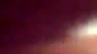 Casual video recording from March 11, 2017, at 1:48 PM.